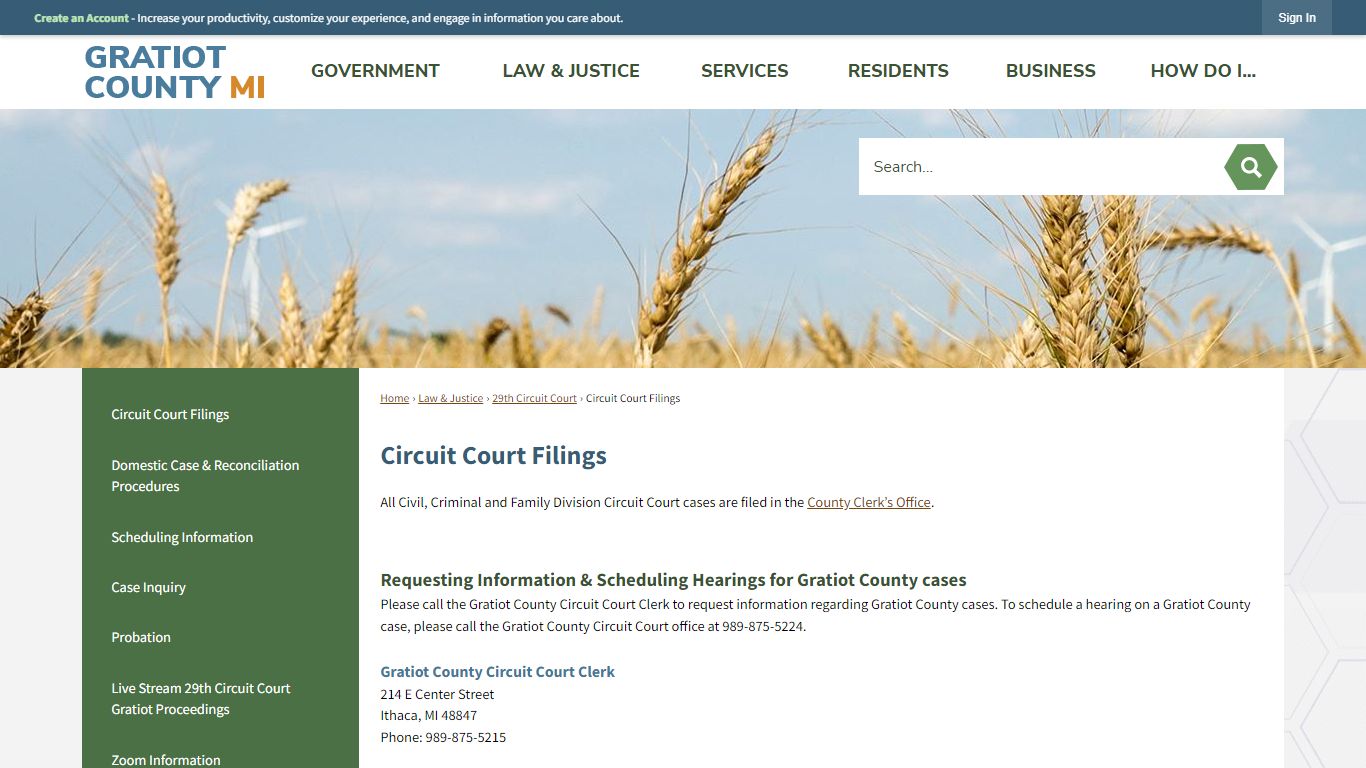 Circuit Court Filings | Gratiot County, MI
